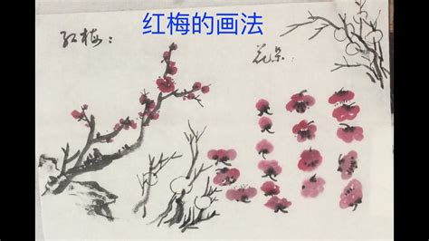 龍爪畫法|中国画教学 龙爪菊的画法 Chinese Ink Wash Painting。